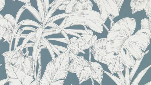 Parlour Palm 112023